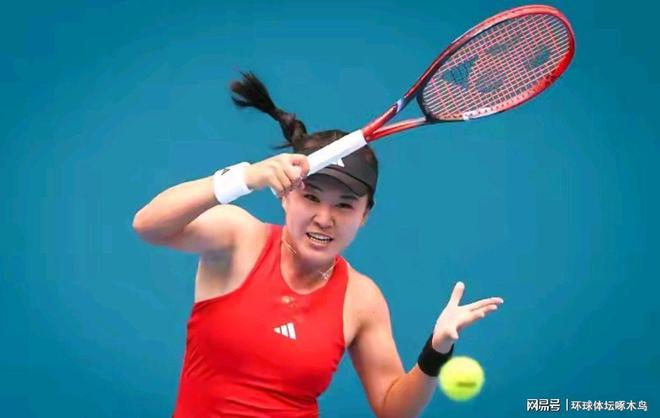 关于TheShy伤愈复出，关键助攻首场表现抢眼，日本队球迷欢呼！的信息